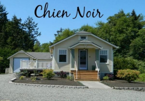 SQ Chien-Noir